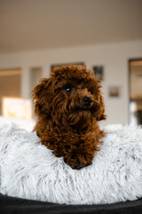 Ceramo Pet Bed
